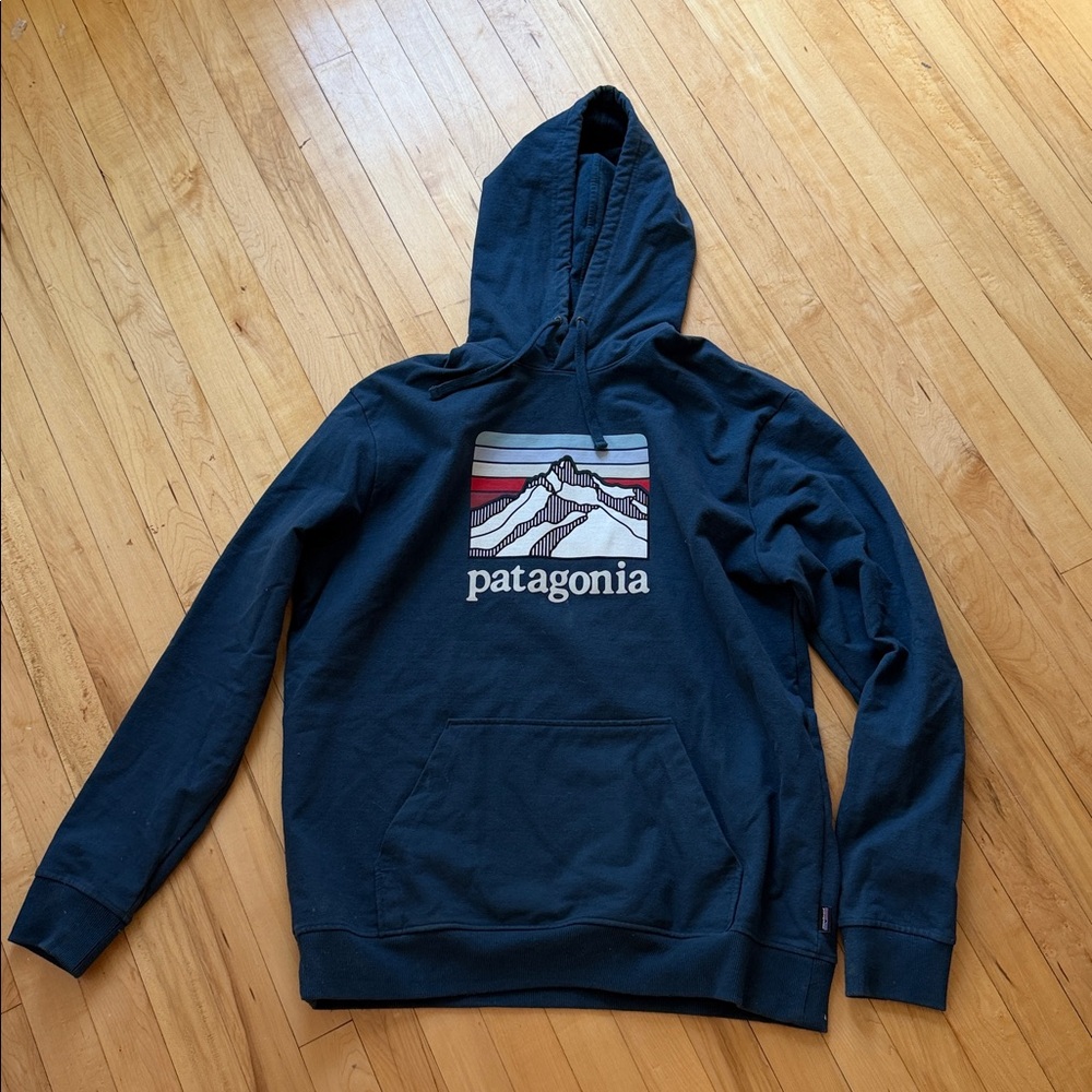 Patagonia Blue Hoodie with Mountain Design